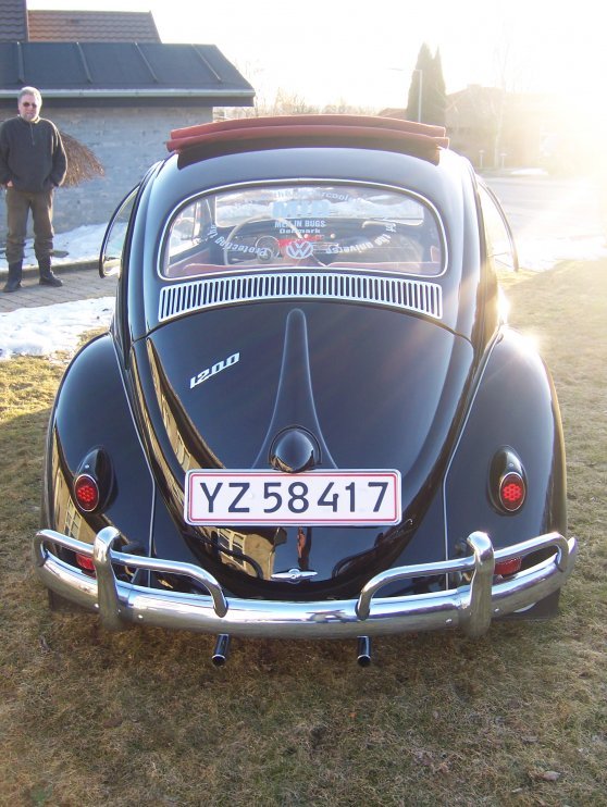 1959 beetle 14.jpg